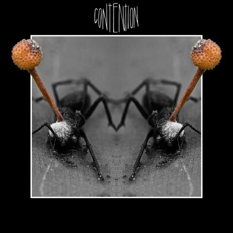 Contention