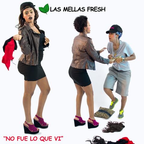 No Fue Lo Que VI