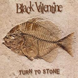 Turn to Stone