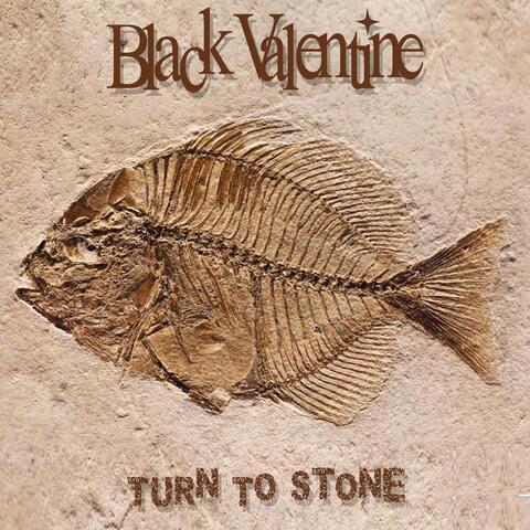 Turn to Stone