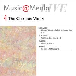 Horn Trio in E-Flat Major, Op. 40: IV. Finale. Allegro con brio (Live)
