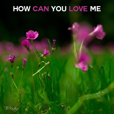 How Can You Love Me