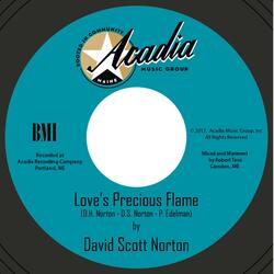 Love's Precious Flame