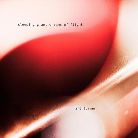 Sleeping Giant Dreams of Flight