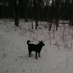 Thinking Without Love, Pt. 2