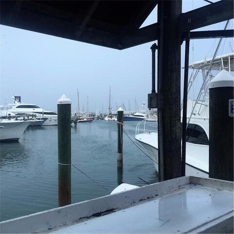 Yeah, a Harbor