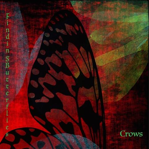 Crows