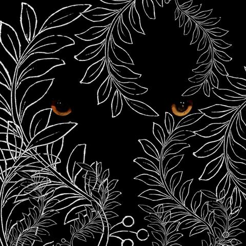 lo in the jungle