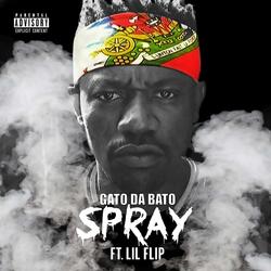 Spray (feat. Lil Flip)