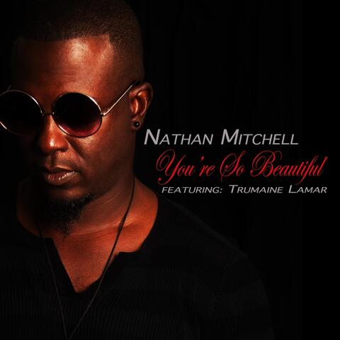 You're so Beautiful (feat. Trumaine Lamar)