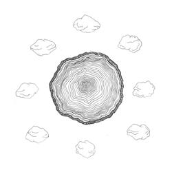 Canopy