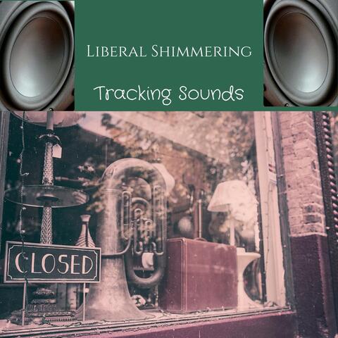 Tracking Sounds
