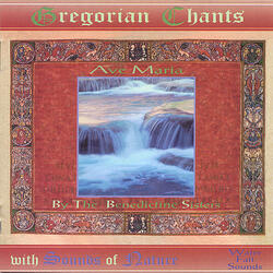 Tota Pulchara Es Maria