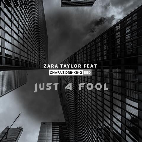Just a Fool (feat. Chapa's Drinking Red)
