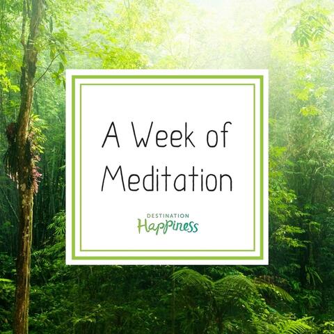 A Week of Meditation