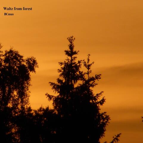 Waltz from Forest