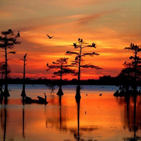 Louisiana Is My Home