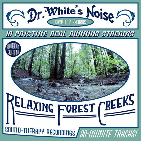 Relaxing Forest Creeks