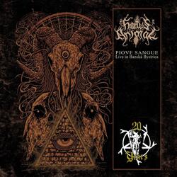 Medley: In Adoration of the Weeping Skies / Cruciatus Tacitus / Souls of the Cold Wind (Live)
