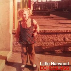 Little Harwood