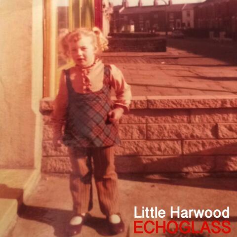 Little Harwood