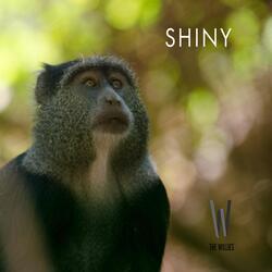 Shiny