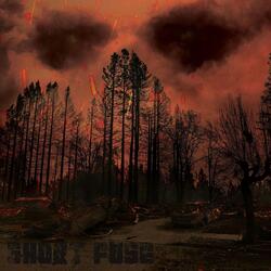 Aborted Souls