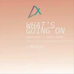 What’s Going On (L Phonix Rework Mix)