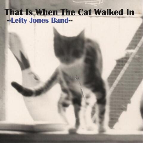 That Is When the Cat Walked In