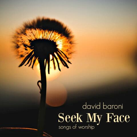 Seek My Face