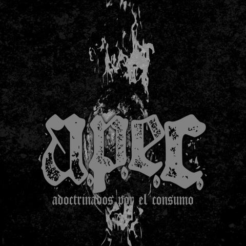 Adoctrinados por el Consumo