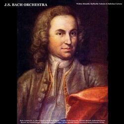 Horizons, For String Orchestra, Op. 2, No. 8: Allegro