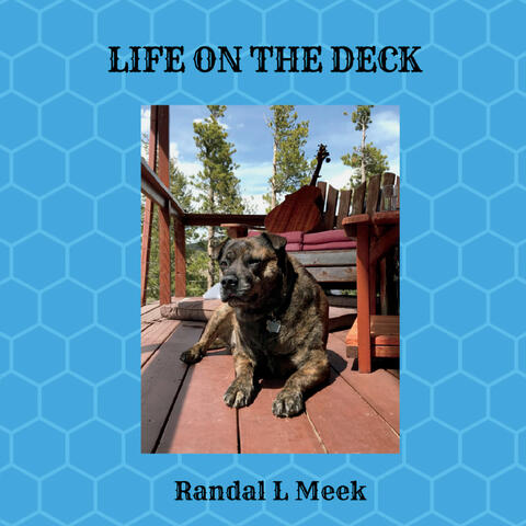 Life on the Deck