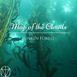 Sunken Forest