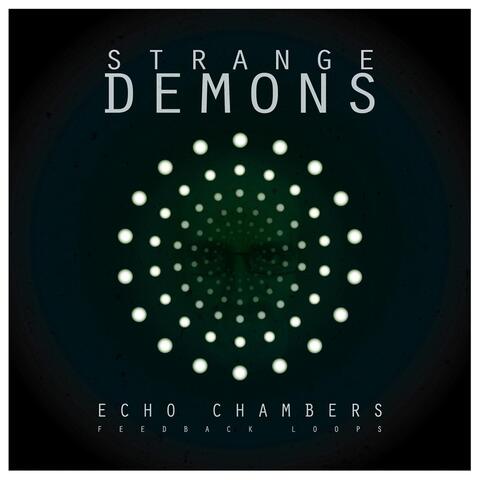 Echo Chambers (Feedback Loops)