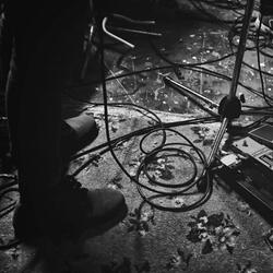 Trying to Do What's Right