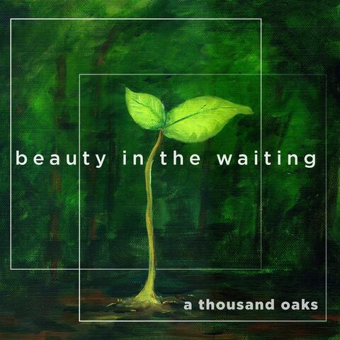 Beauty in the Waiting