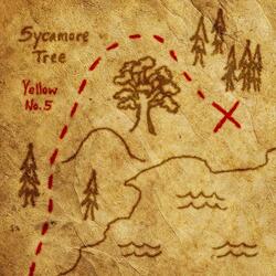 Sycamore Tree