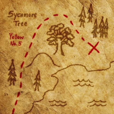 Sycamore Tree