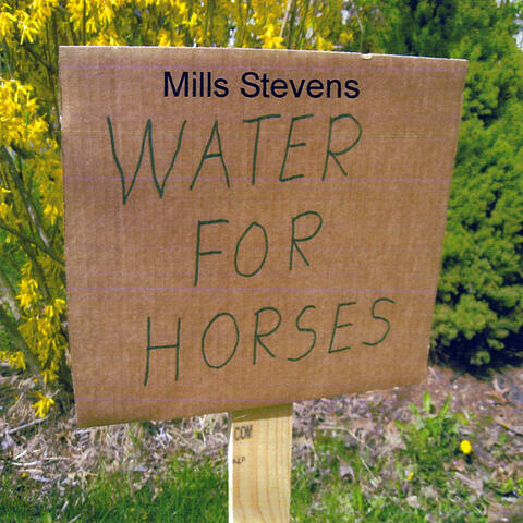 Water for Horses