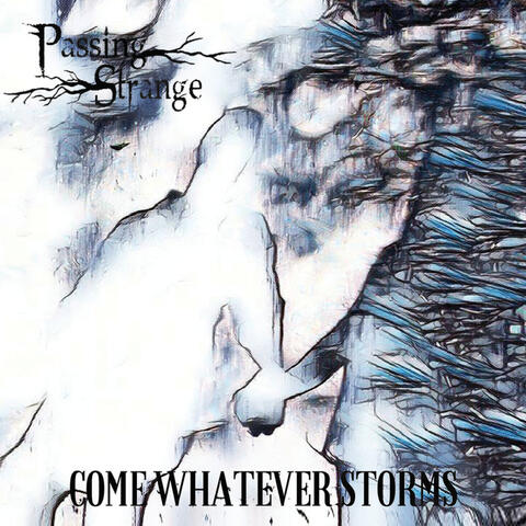 Come Whatever Storms