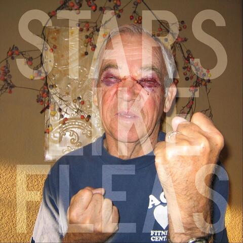 Stars Like Fleas