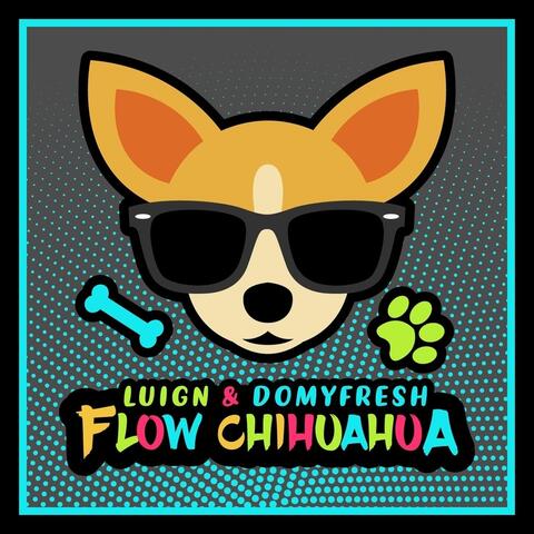 Flow Chihuahua