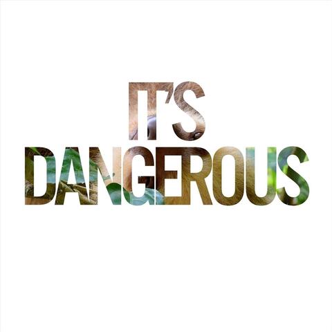 It's Dangerous
