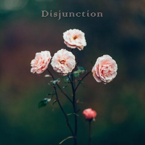 Disjunction