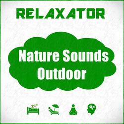 Clearing Sounds