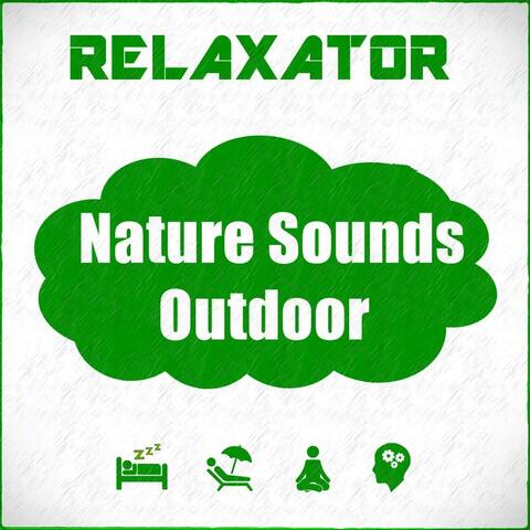 Nature Sounds Outdoor