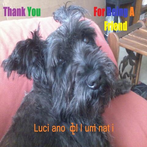 Thank You for Being a Friend