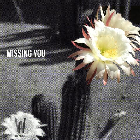 Missing You
