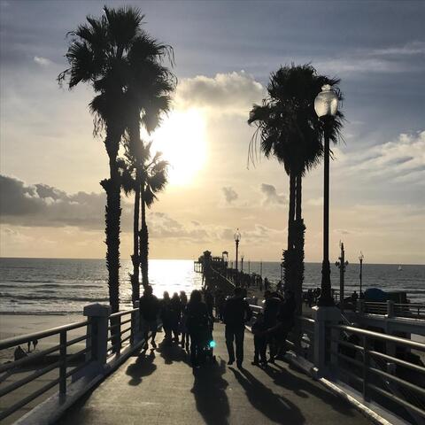 Fresh Light